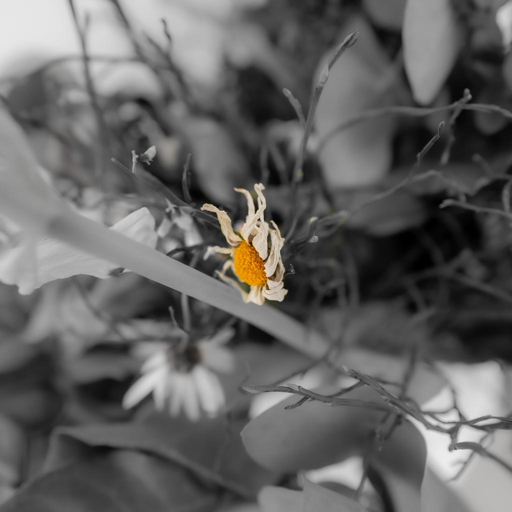 22.2.2021 - Vergängliches