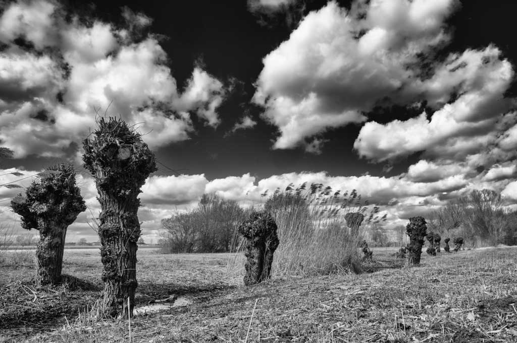 28.3.2021 - Frühjahrslicht