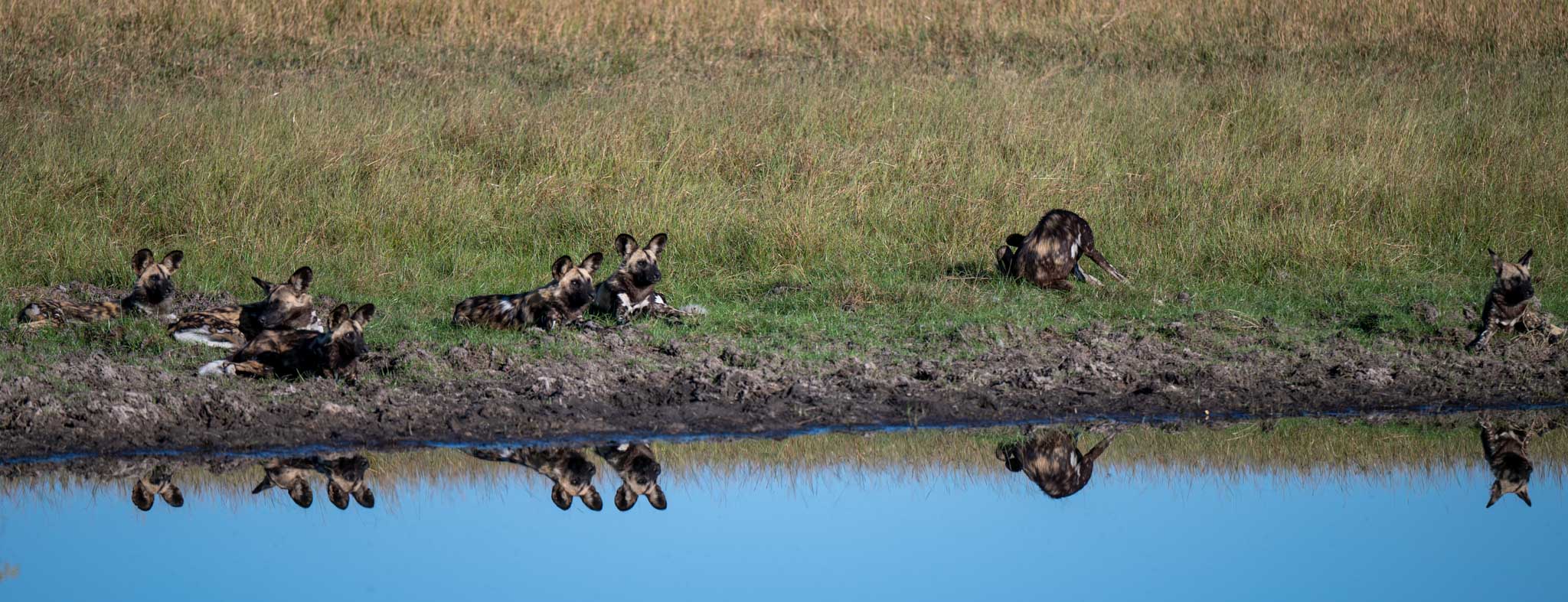 202205014_Bushman_Plains_0459