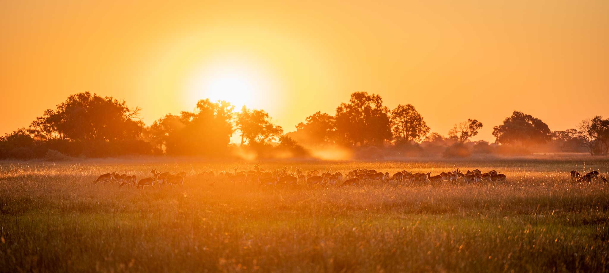 202205014_Bushman_Plains_1645