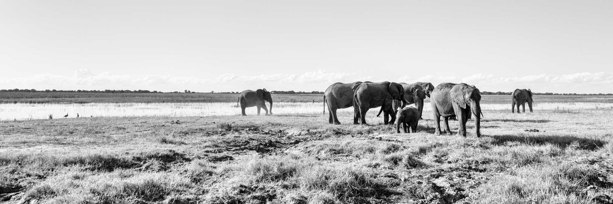 20220504_Muchenje_0017-Bearbeitet