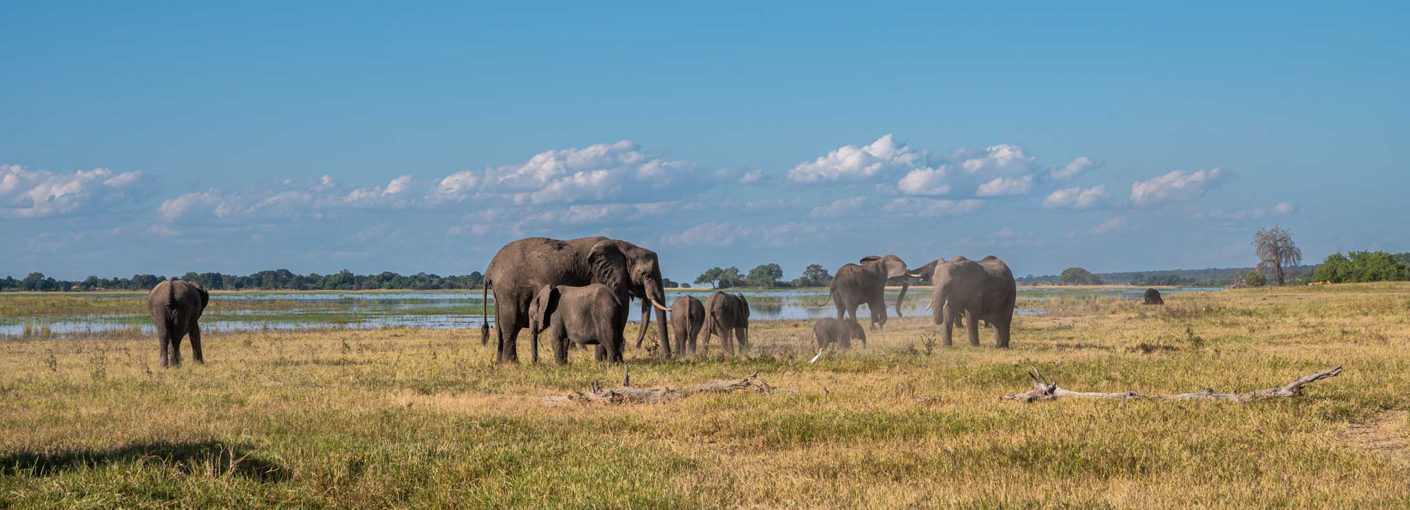 20220504_Muchenje_0029