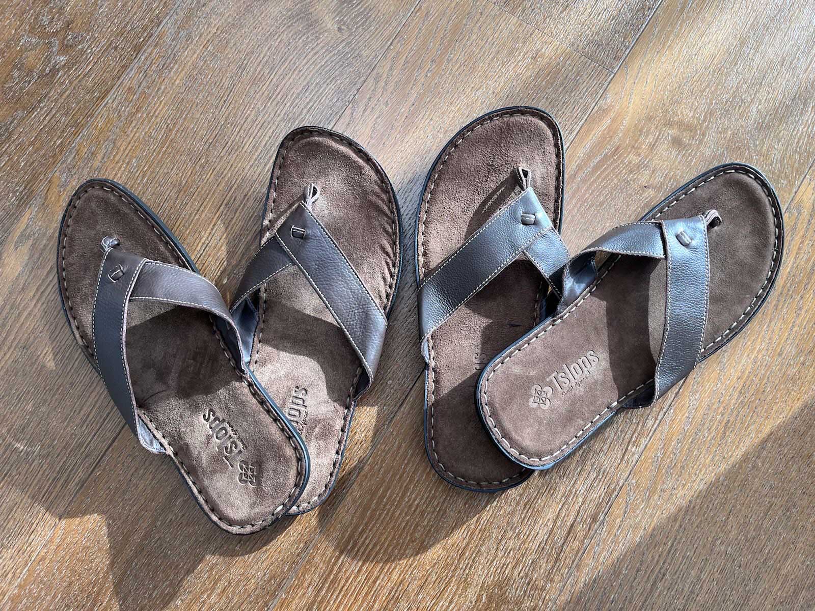 17.11.2023 - Tsongas finally arrived from home&sup2; (PTA) via Bath: Jenny thank you so much