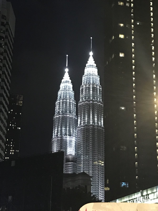 Petronas Towers