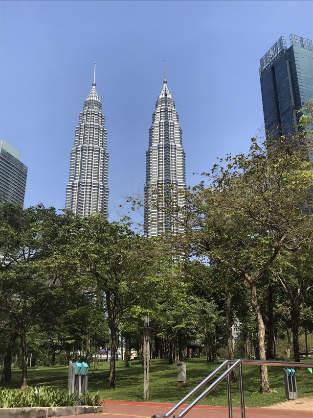 Die ominpr&auml;senten Petronastowers
