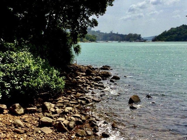 1BF5B960-70CB-4DAD-8E99-81FC22CBB8CC