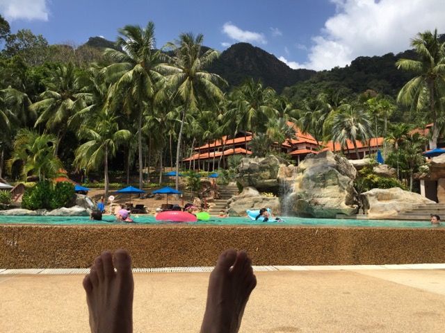 CBD2F95B-B26A-464D-A572-E006DA02F918