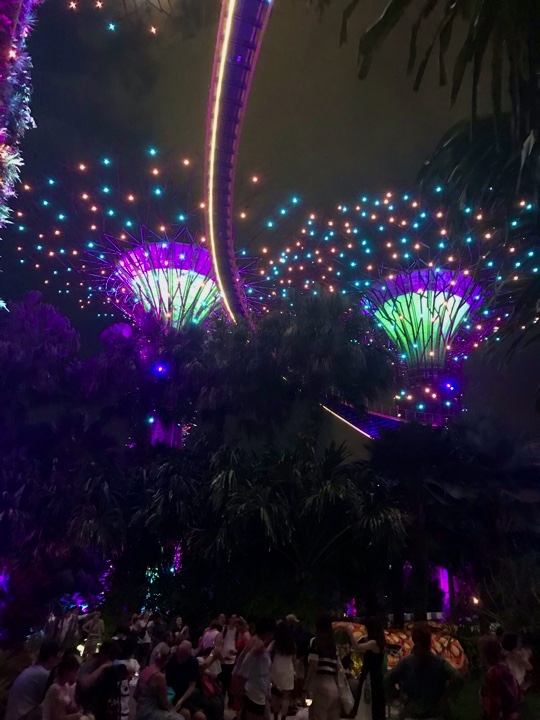 0AE65956-61EC-4BB7-87B9-2690445B0BDA