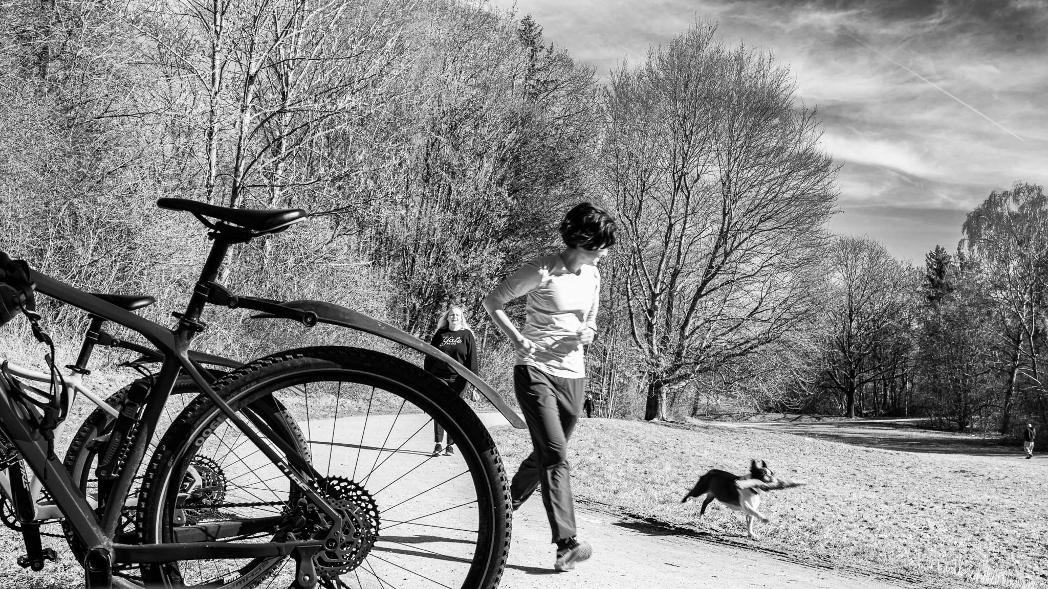 28.2.2026 - Movements ... Denninger Anger