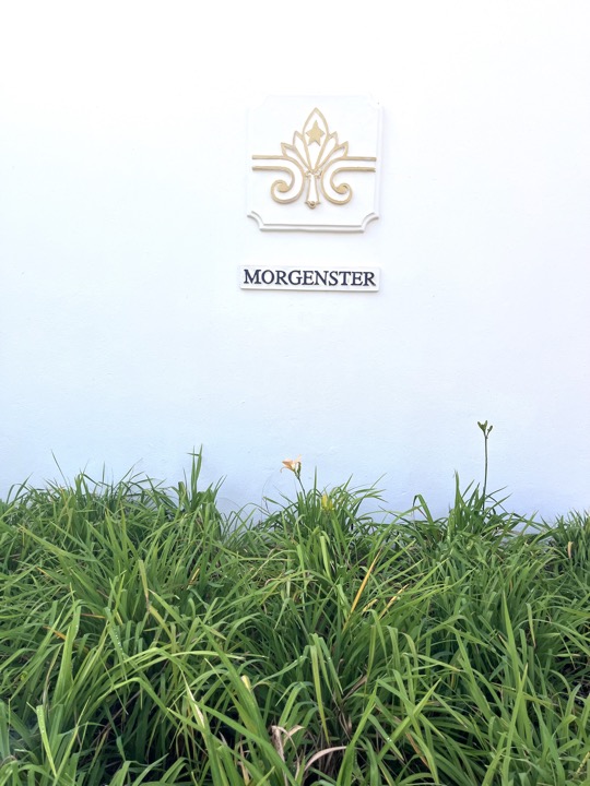 16.3.2026 - Oliven&ouml;l und Vermentino von Morgenster sind k&ouml;stlich