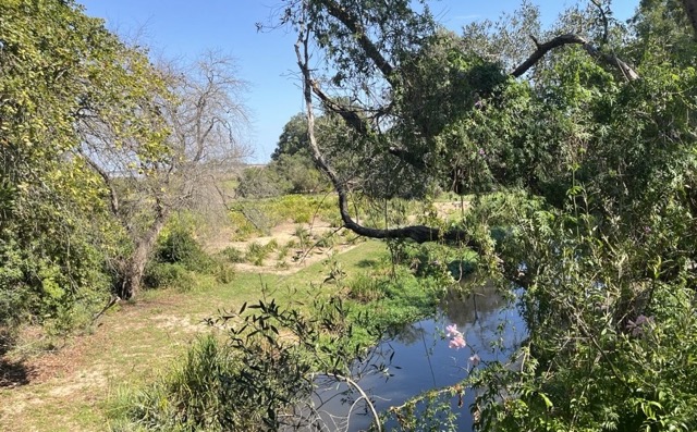 22.3.2026 - Helderberg Nationalpark